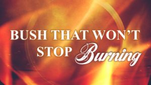 bush-stop-buring